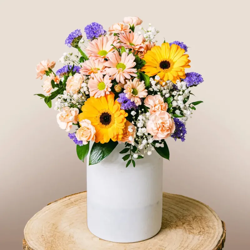 Güneşli Gerbera
