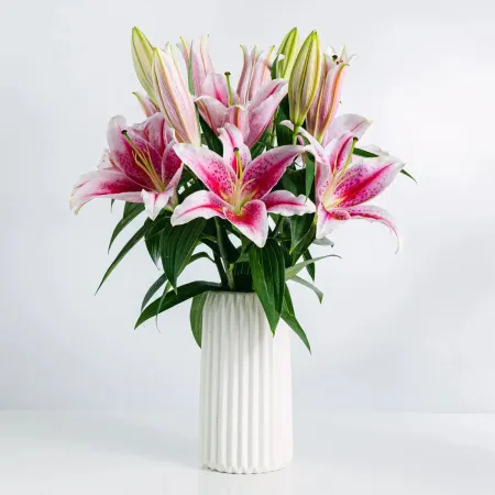 Pembe Lilyum